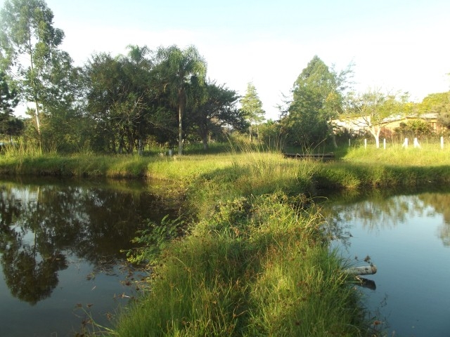 Fazenda à venda com 2 quartos, 90m² - Foto 28