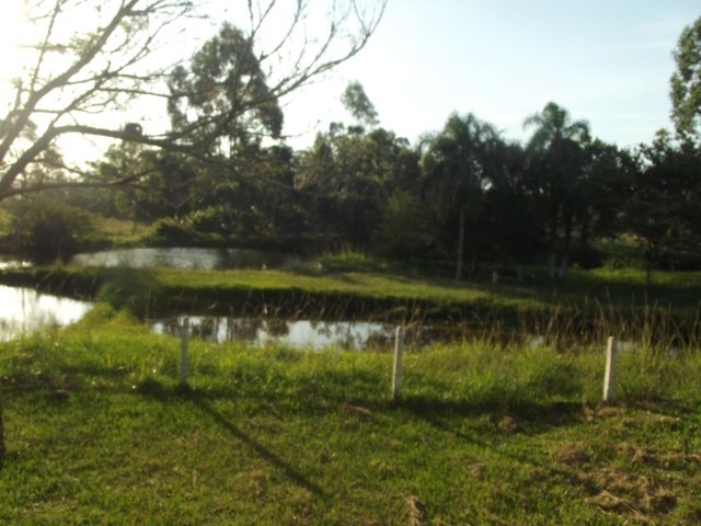 Fazenda à venda com 2 quartos, 90m² - Foto 20