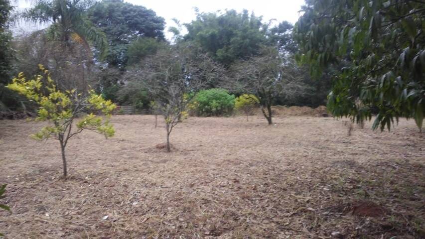 Fazenda à venda com 3 quartos, 150m² - Foto 27