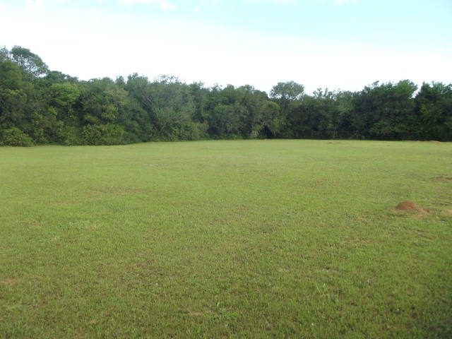 Terreno à venda, 4000m² - Foto 5