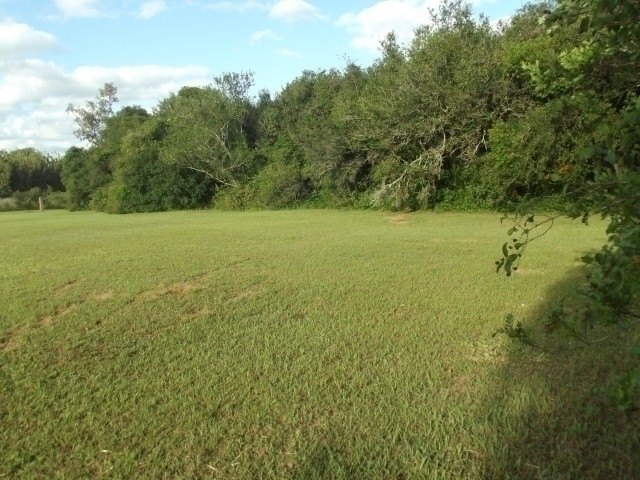 Terreno à venda, 4000m² - Foto 11