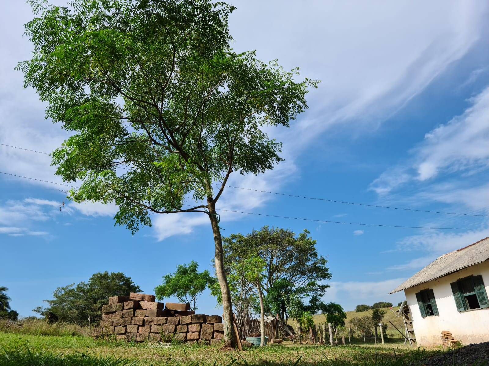 Fazenda à venda com 1 quarto, 84m² - Foto 27