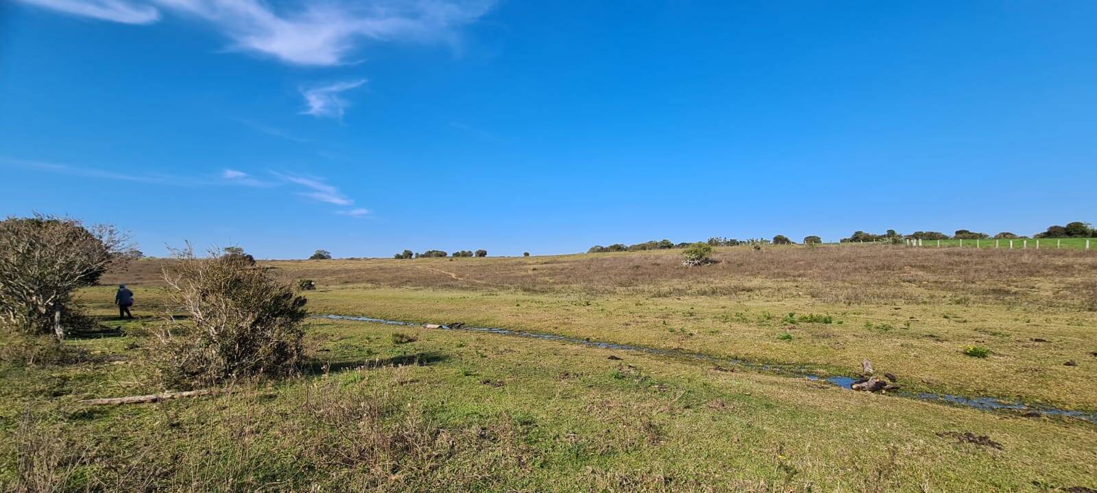 Fazenda à venda com 1 quarto, 84m² - Foto 4