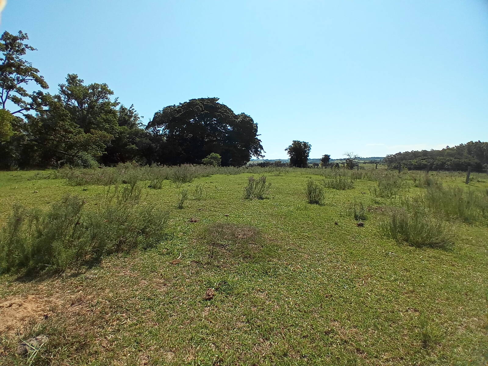 Terreno à venda, 88000m² - Foto 10