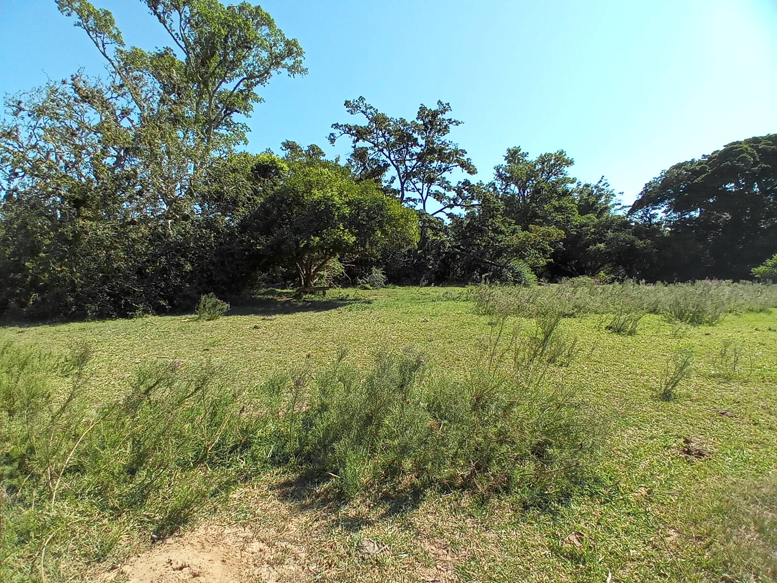 Terreno à venda, 88000m² - Foto 11