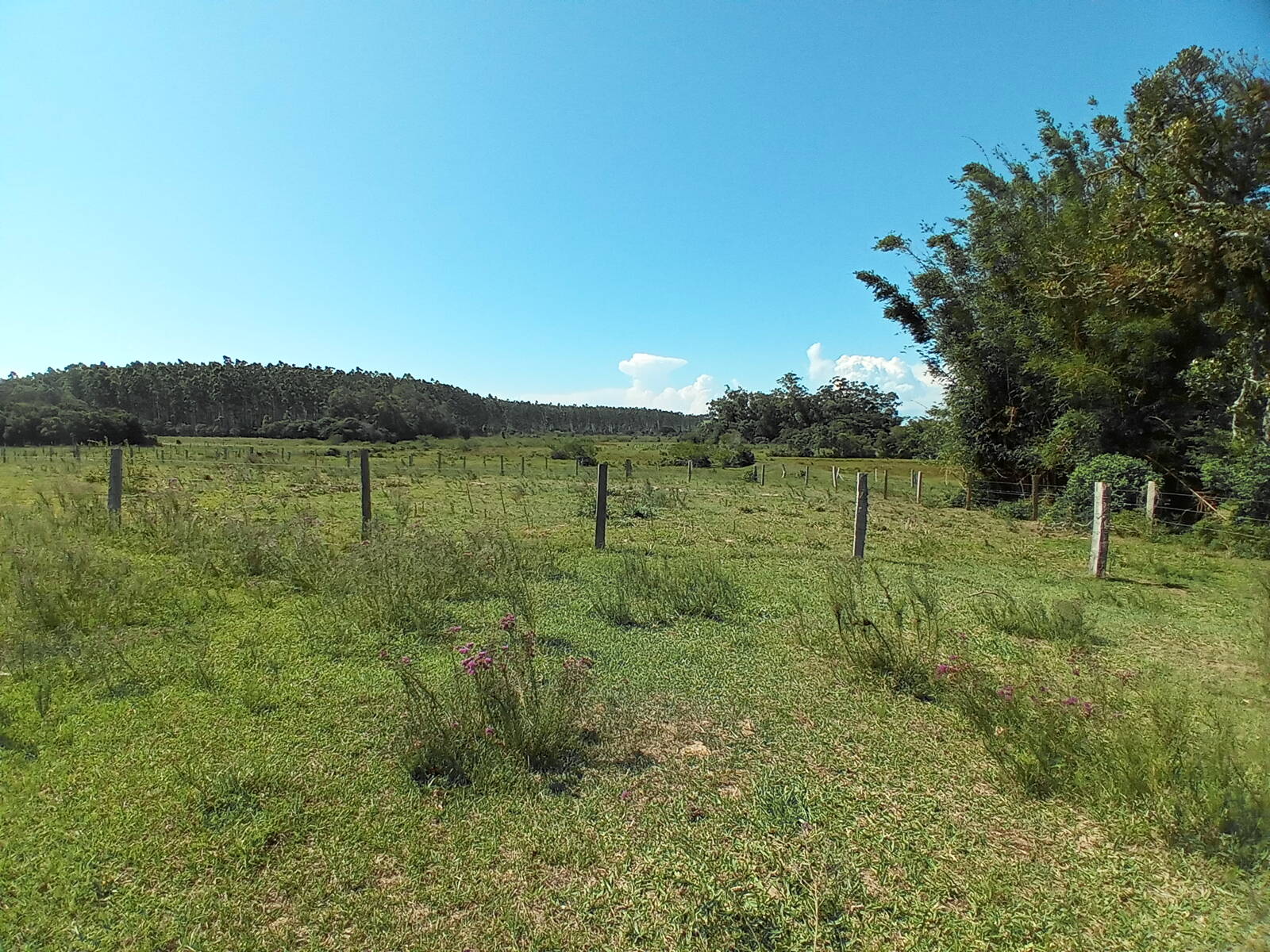 Terreno à venda, 88000m² - Foto 12