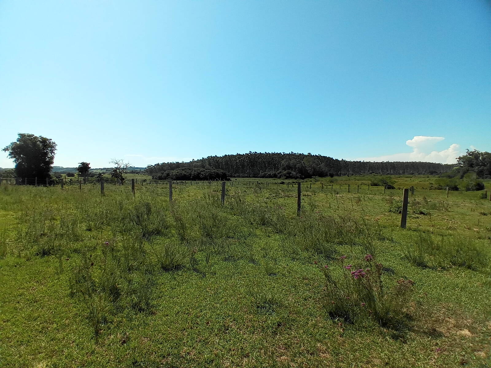 Terreno à venda, 88000m² - Foto 13