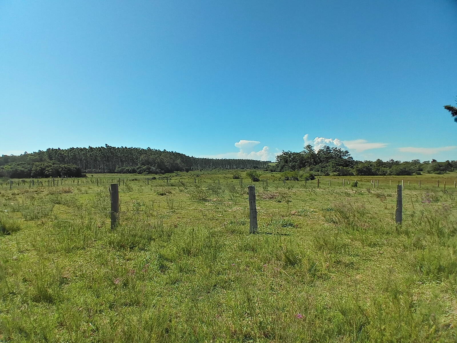 Terreno à venda, 88000m² - Foto 1