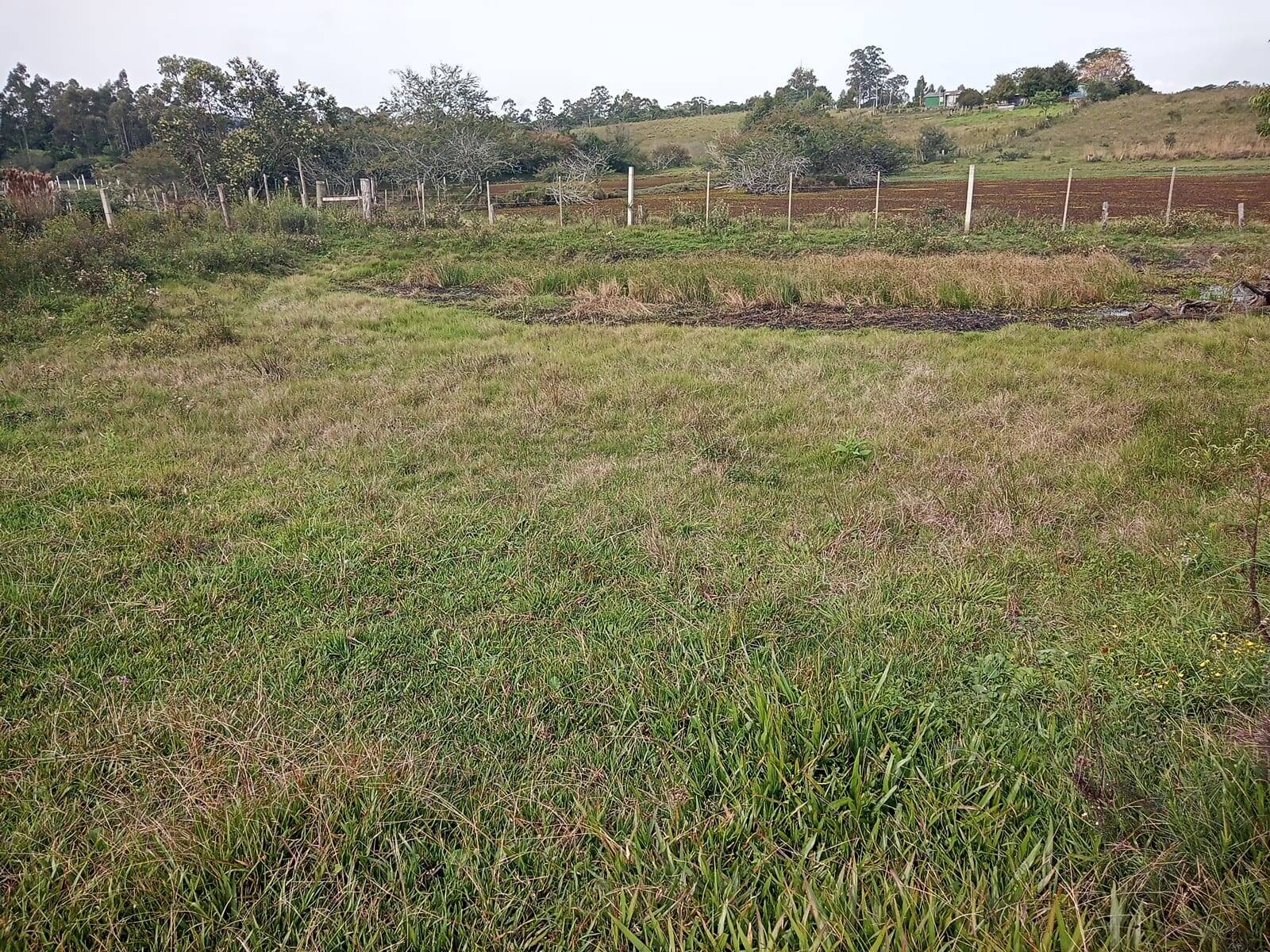 Terreno à venda, 10000m² - Foto 2