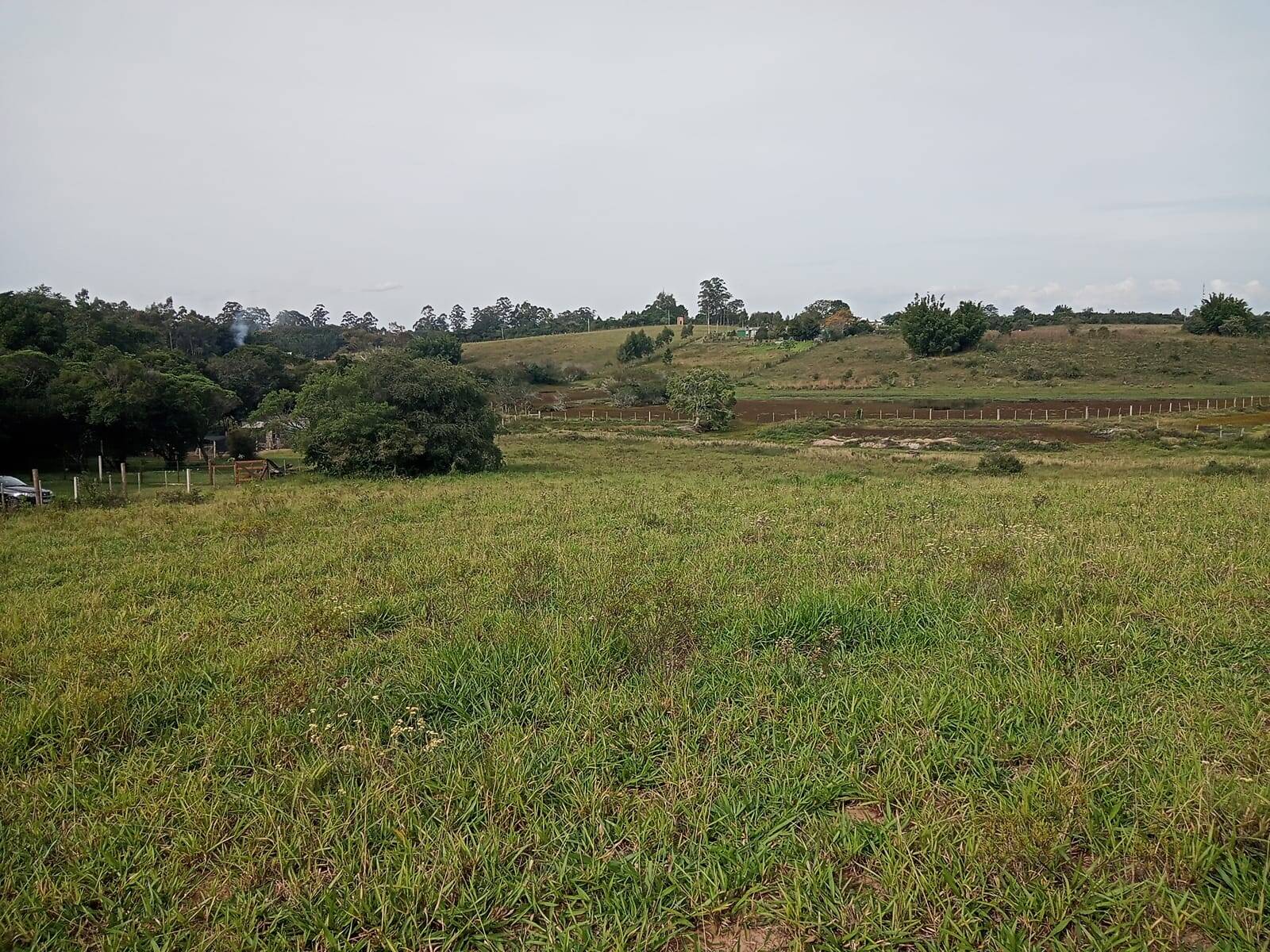 Terreno à venda, 10000m² - Foto 4