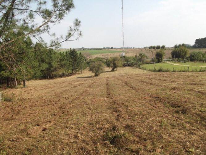 Terreno à venda, 80000m² - Foto 1