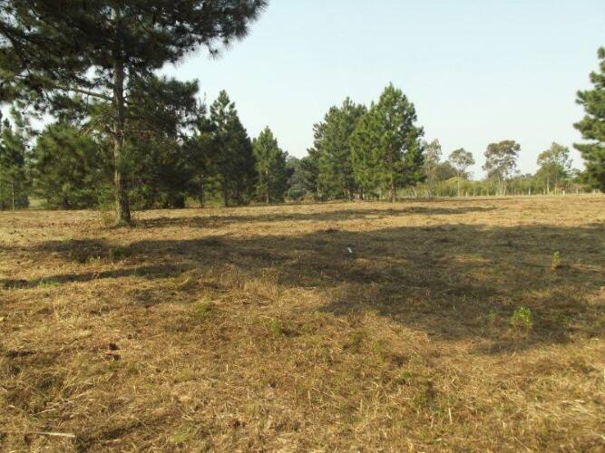 Terreno à venda, 80000m² - Foto 13