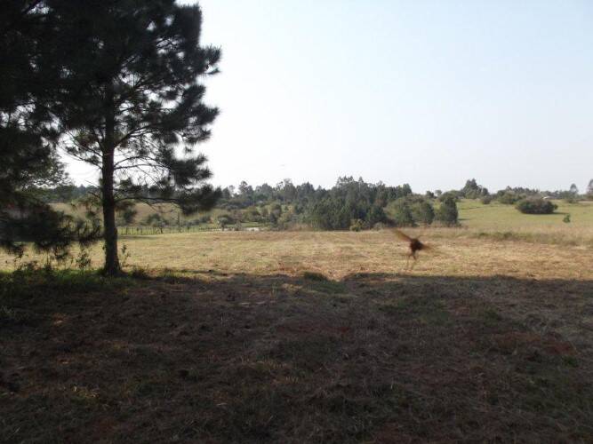 Terreno à venda, 80000m² - Foto 15