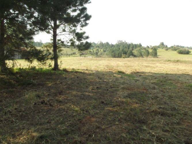 Terreno à venda, 80000m² - Foto 16