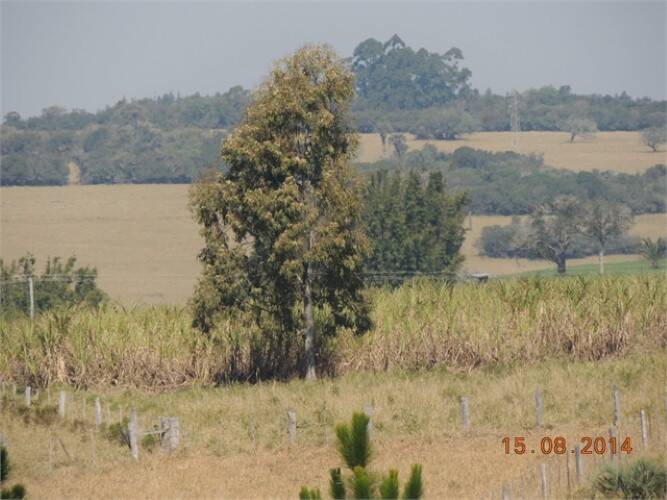 Terreno à venda, 80000m² - Foto 23