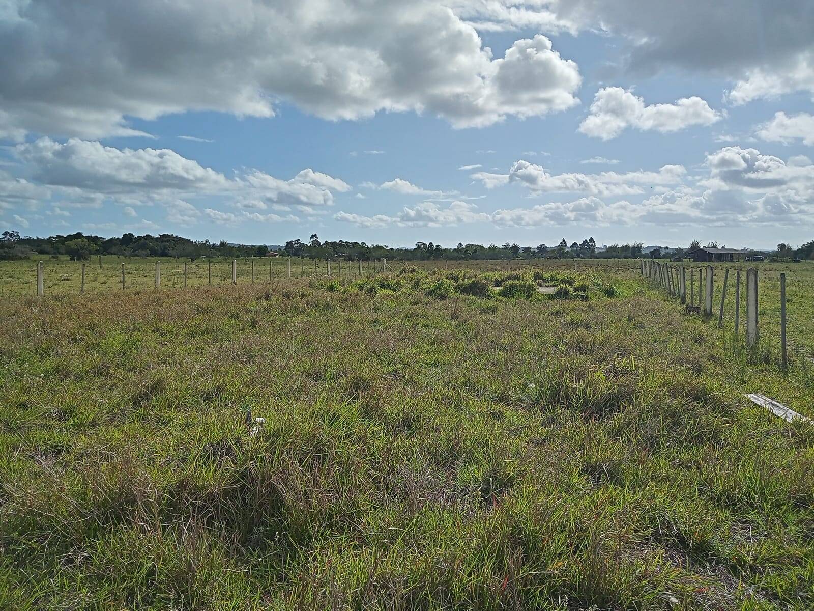 Terreno à venda, 100m² - Foto 4