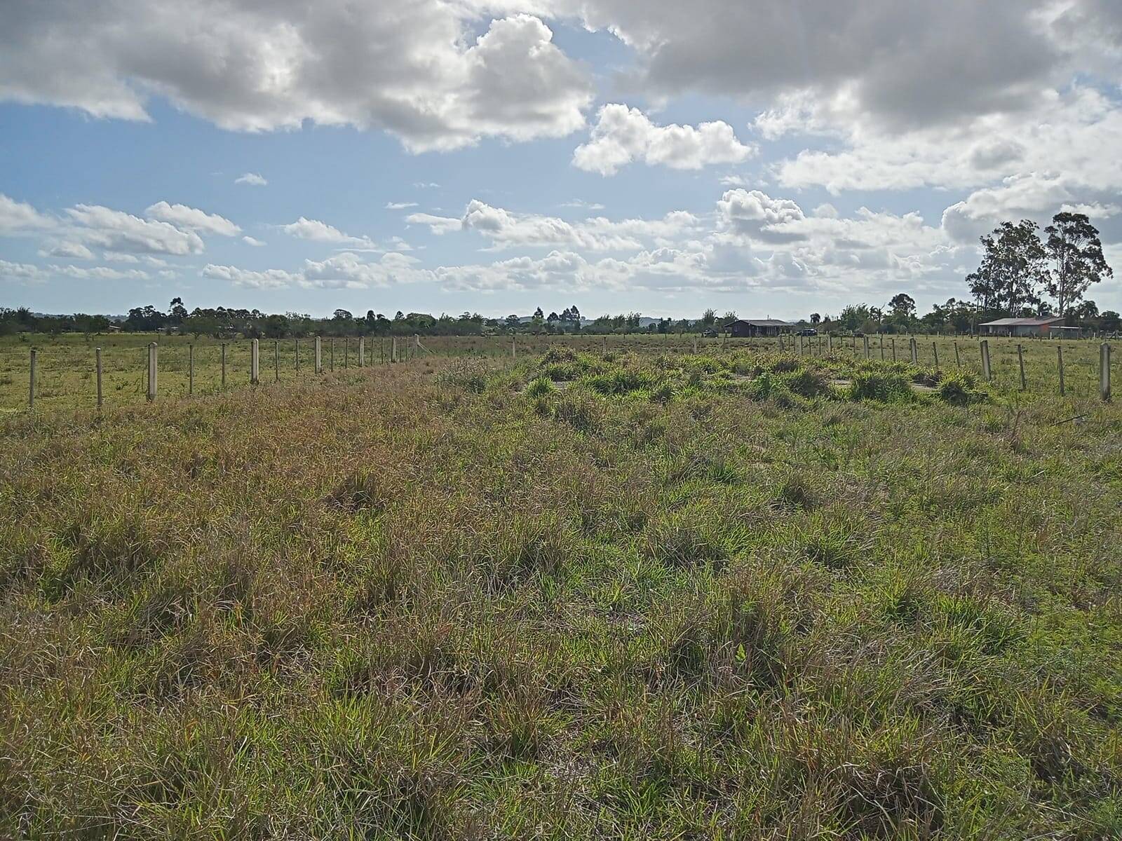 Terreno à venda, 100m² - Foto 5