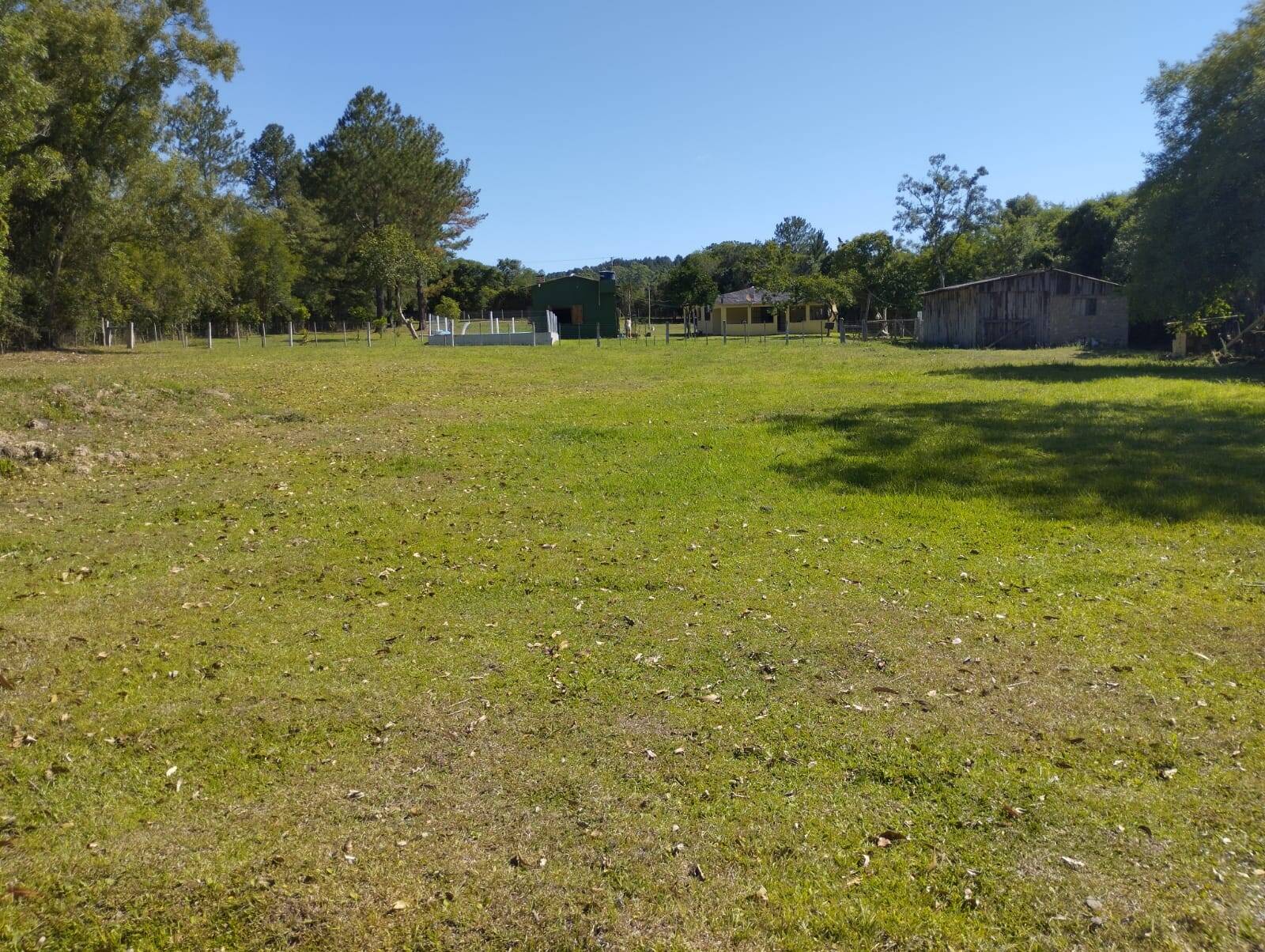 Fazenda à venda com 4 quartos, 261m² - Foto 5