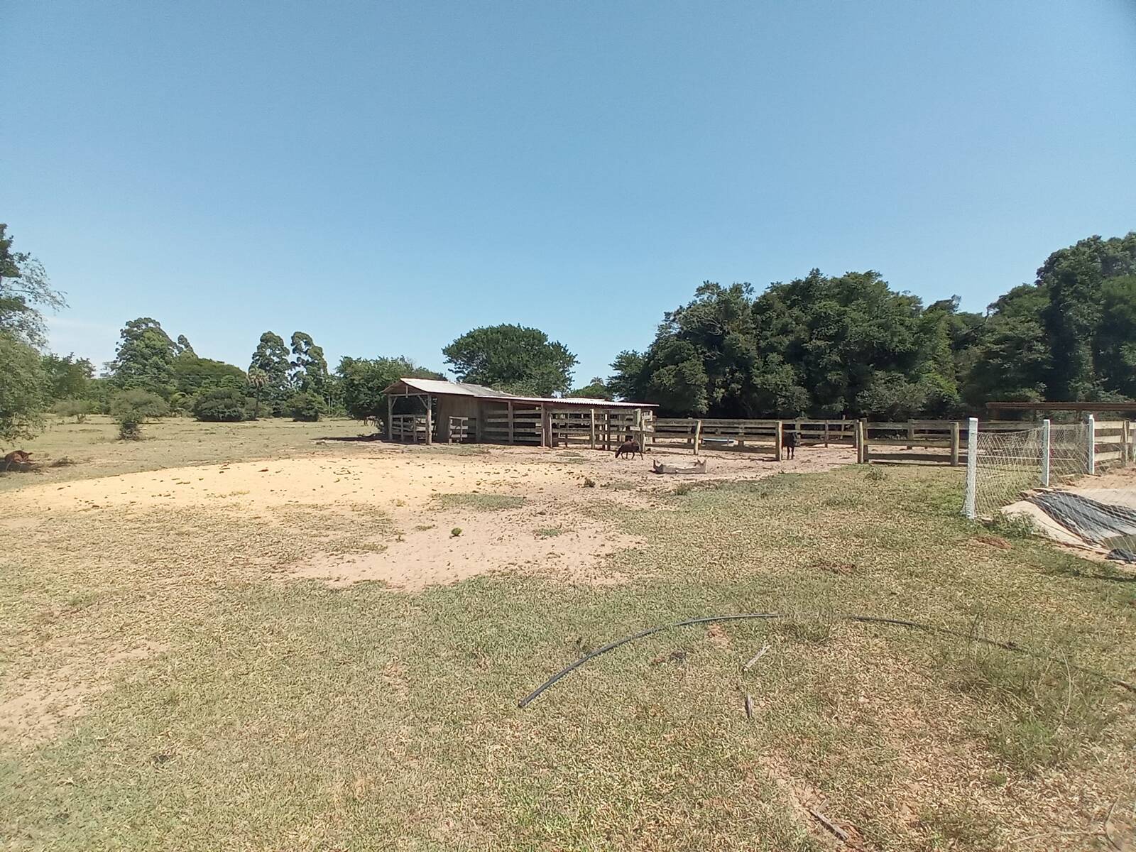 Fazenda à venda com 2 quartos, 450m² - Foto 20