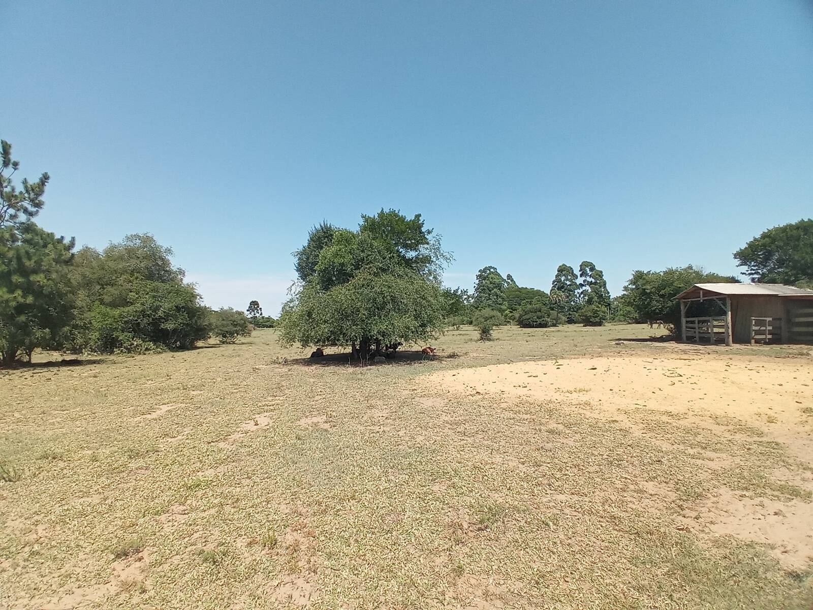 Fazenda à venda com 2 quartos, 450m² - Foto 21