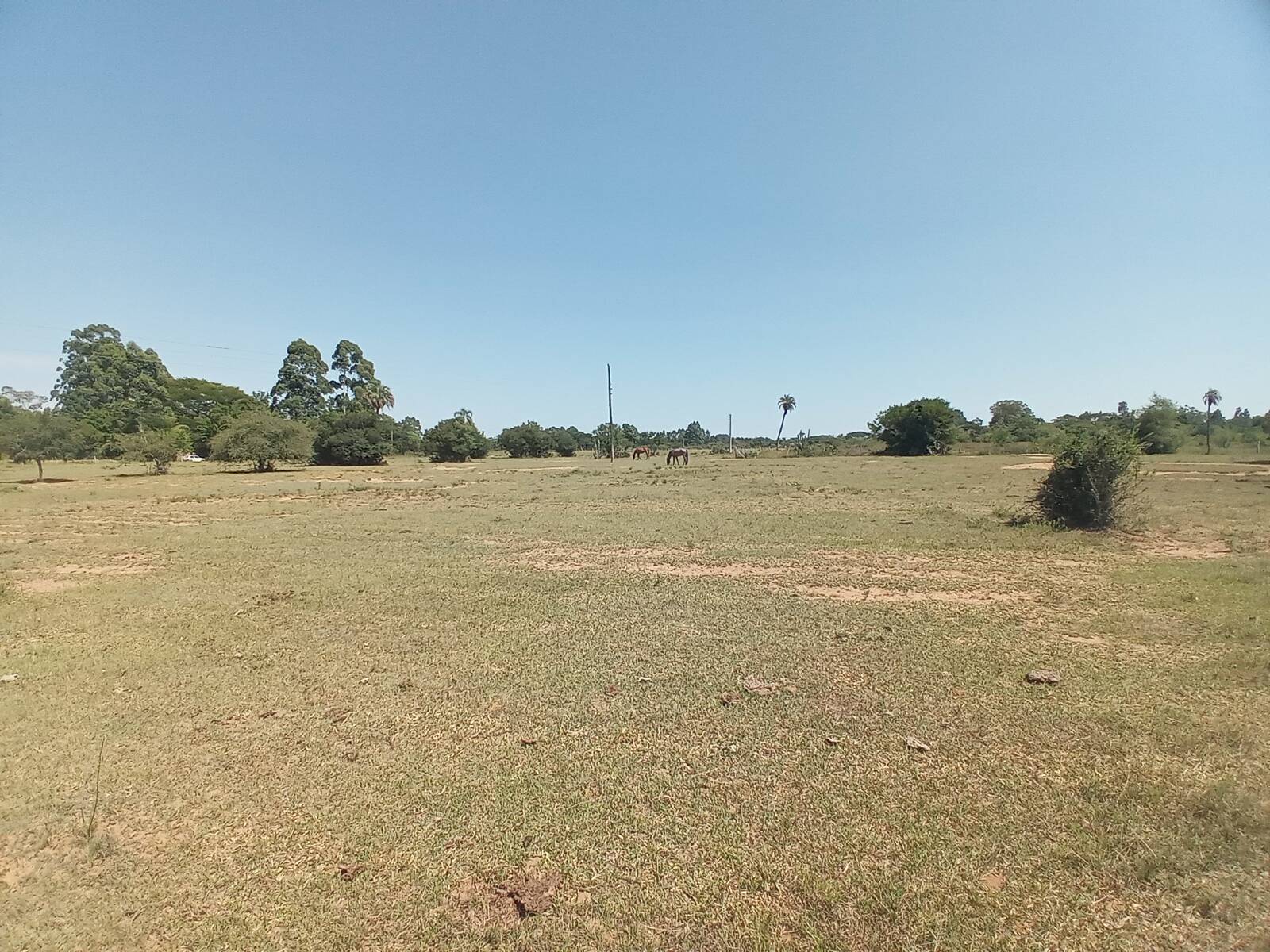 Fazenda à venda com 2 quartos, 450m² - Foto 24