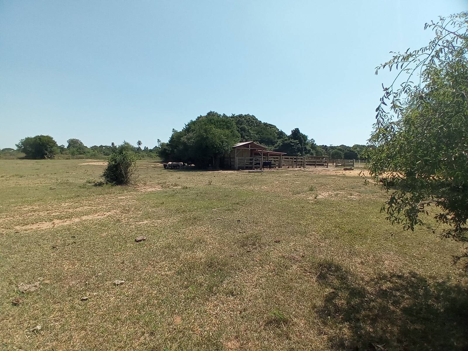 Fazenda à venda com 2 quartos, 450m² - Foto 25