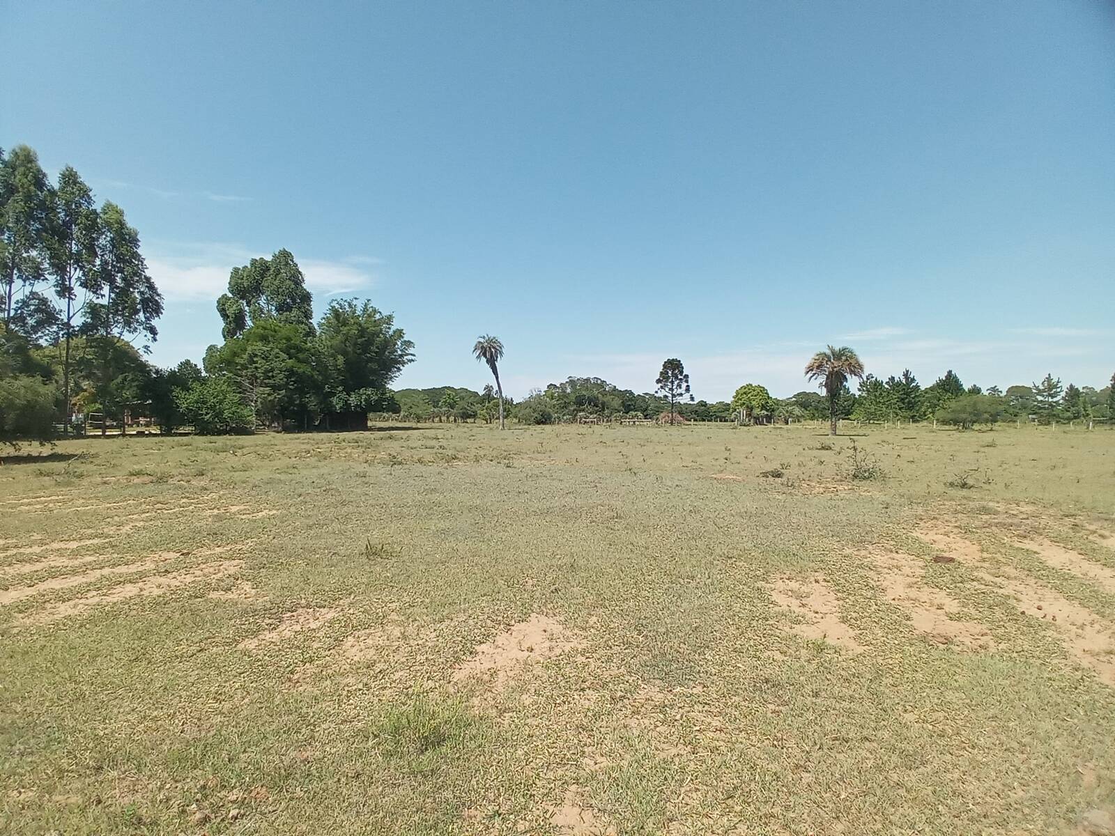 Fazenda à venda com 2 quartos, 450m² - Foto 26