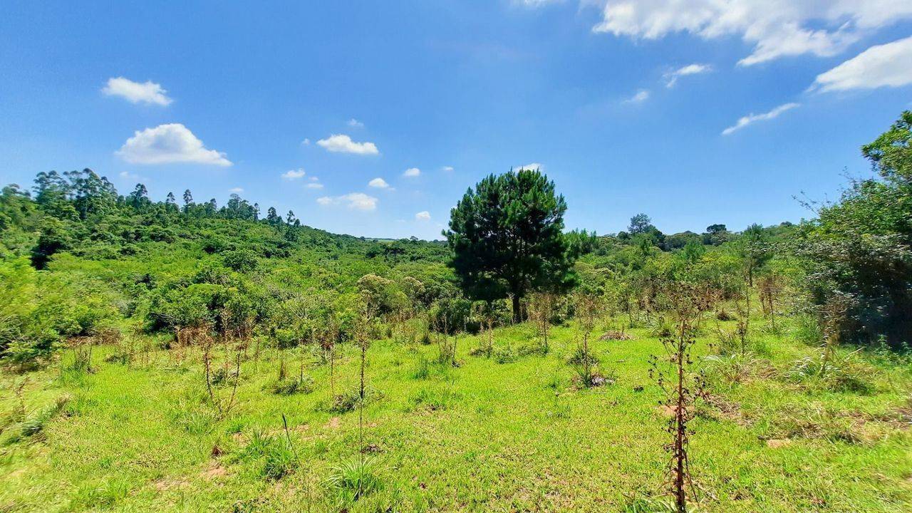 Fazenda à venda com 3 quartos, 18m² - Foto 16