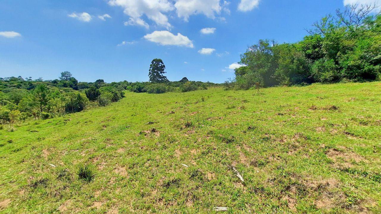 Fazenda à venda com 3 quartos, 18m² - Foto 18