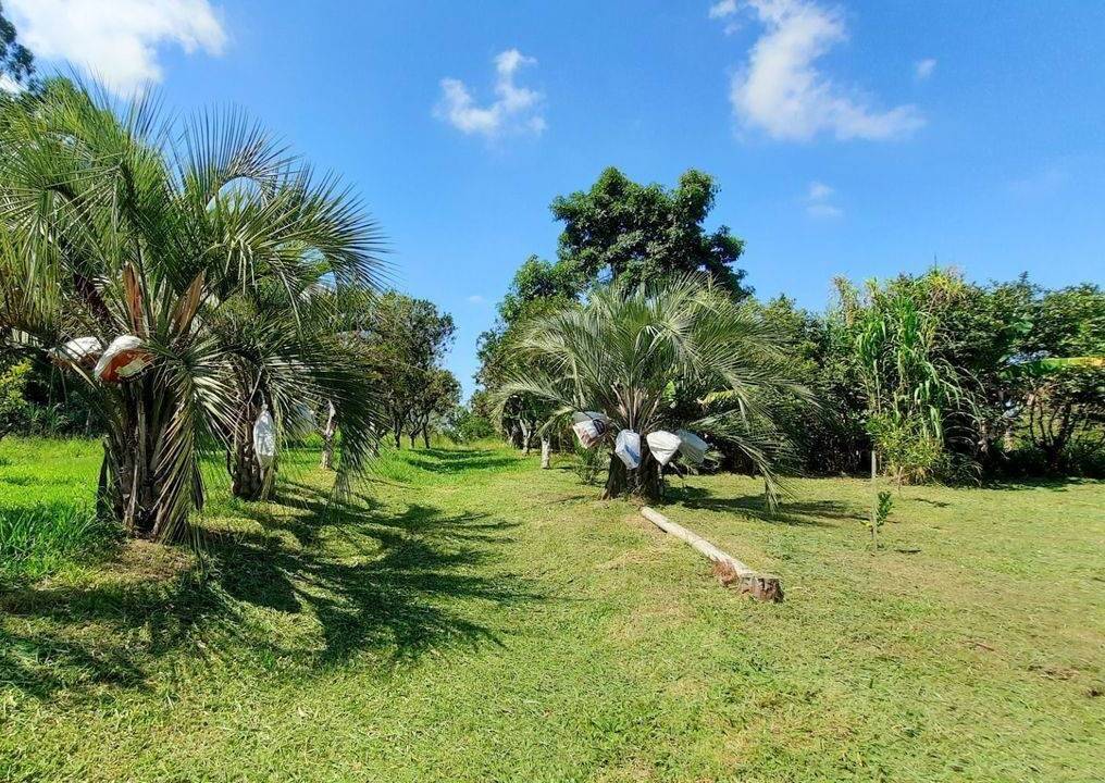 Fazenda à venda com 3 quartos, 18m² - Foto 24