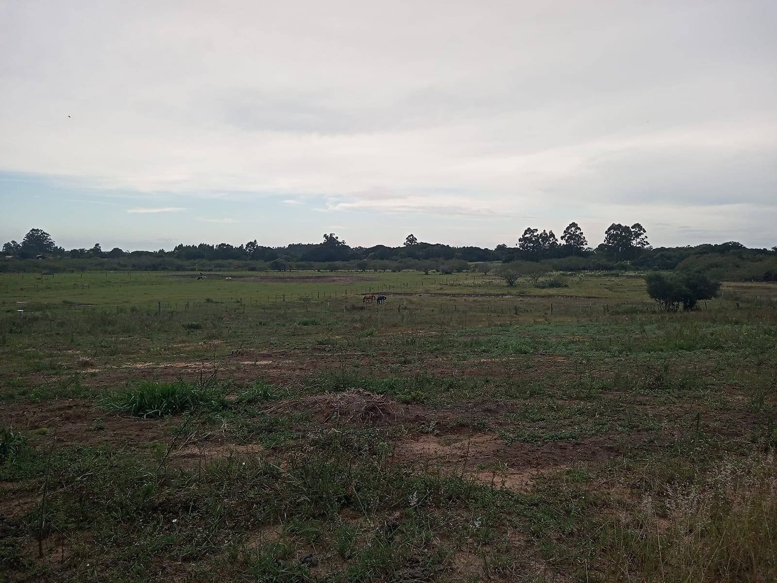 Terreno à venda, 20000m² - Foto 2