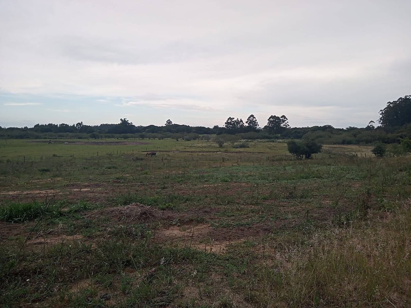 Terreno à venda, 20000m² - Foto 4