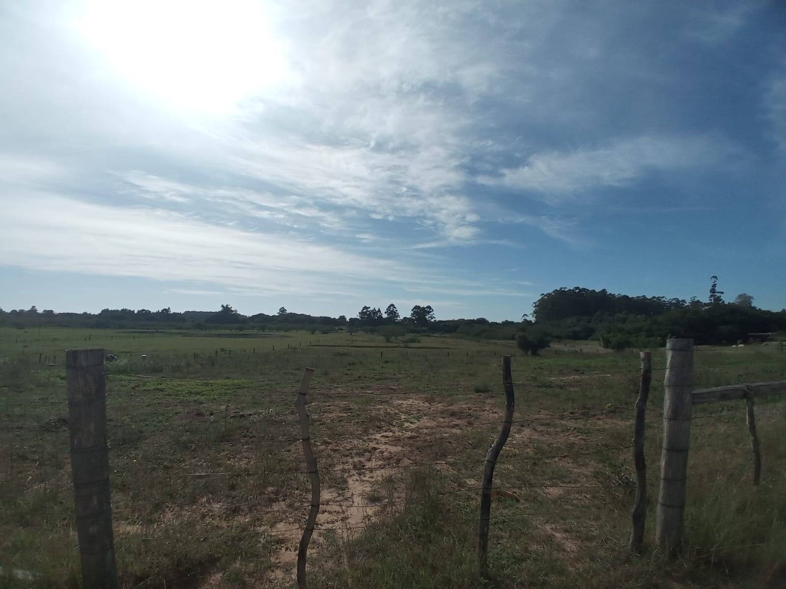 Terreno à venda, 20000m² - Foto 5