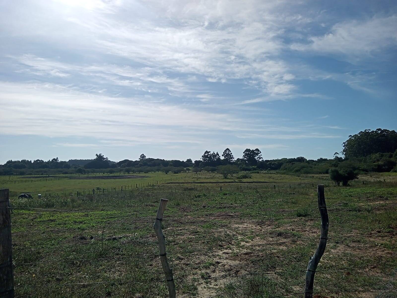 Terreno à venda, 20000m² - Foto 3