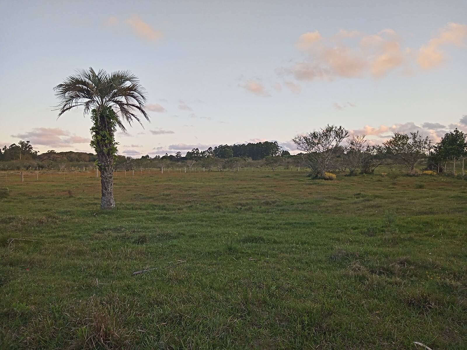 Fazenda à venda com 2 quartos, 170m² - Foto 14