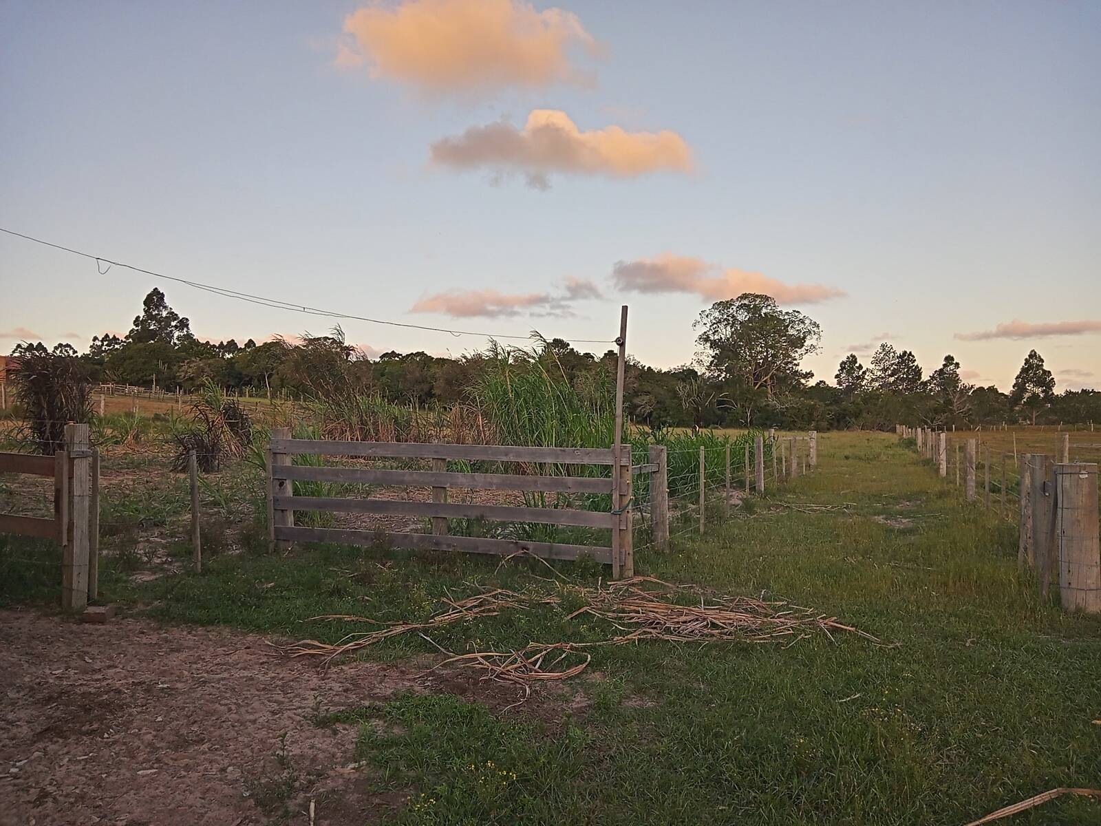 Fazenda à venda com 2 quartos, 170m² - Foto 17