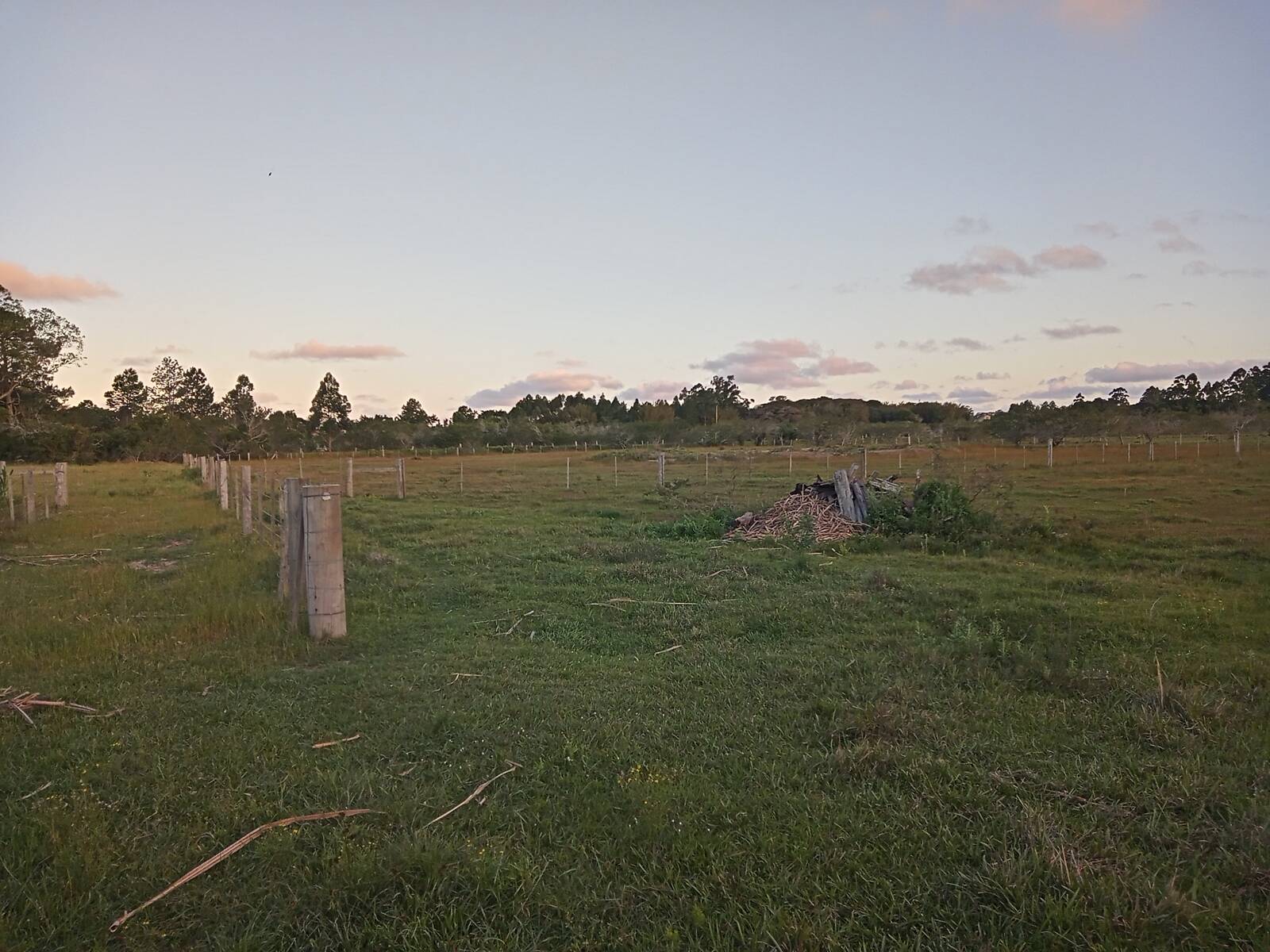 Fazenda à venda com 2 quartos, 170m² - Foto 18