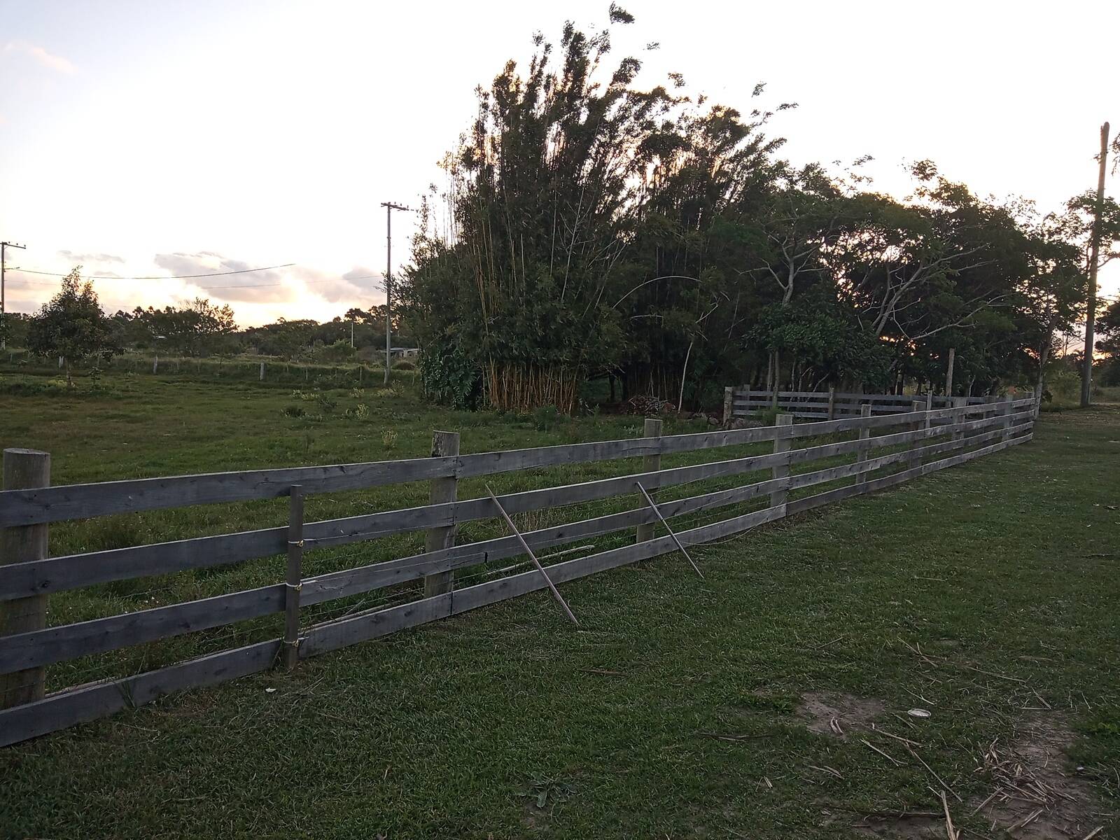 Fazenda à venda com 2 quartos, 170m² - Foto 19