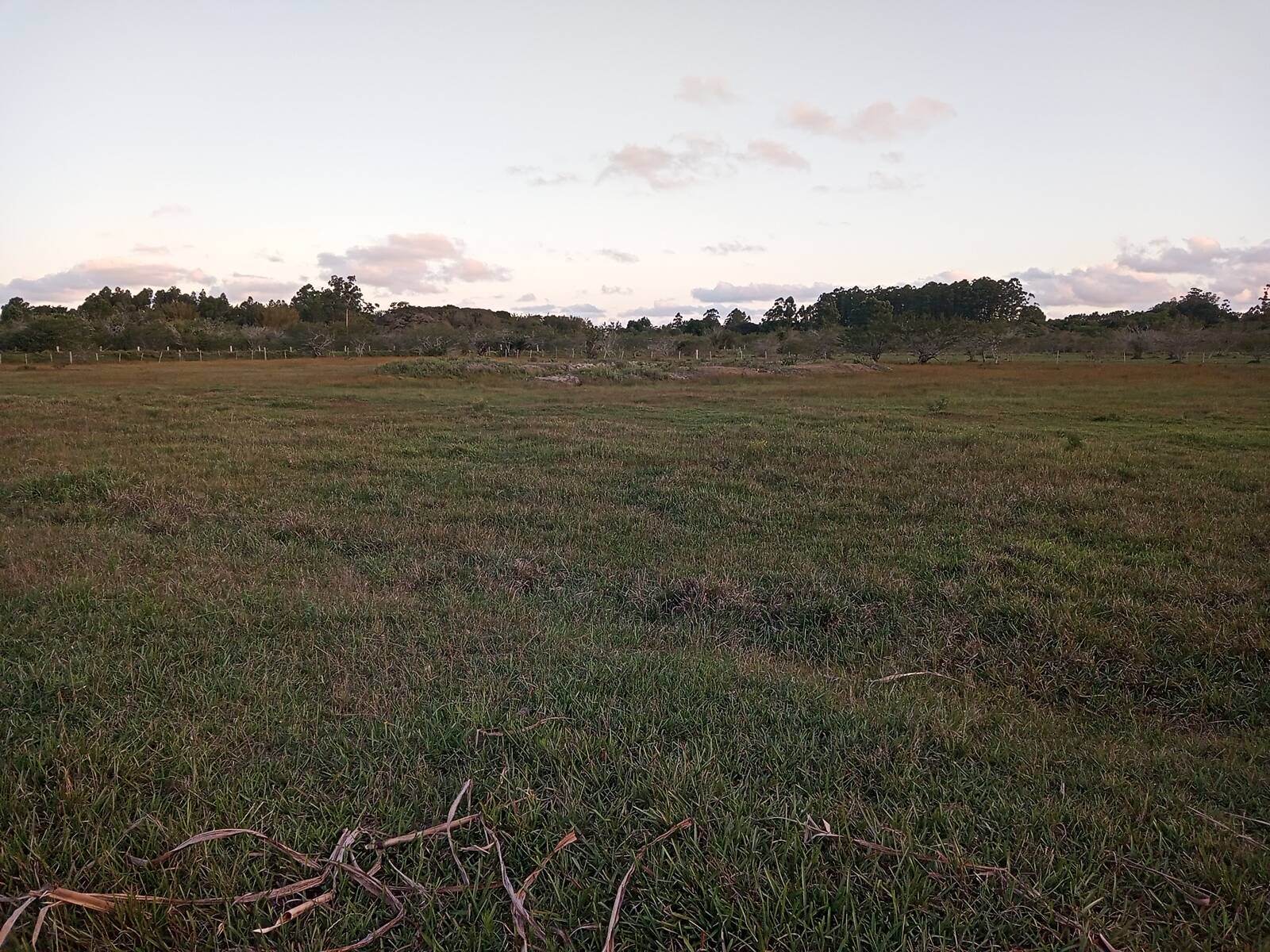 Fazenda à venda com 2 quartos, 170m² - Foto 20