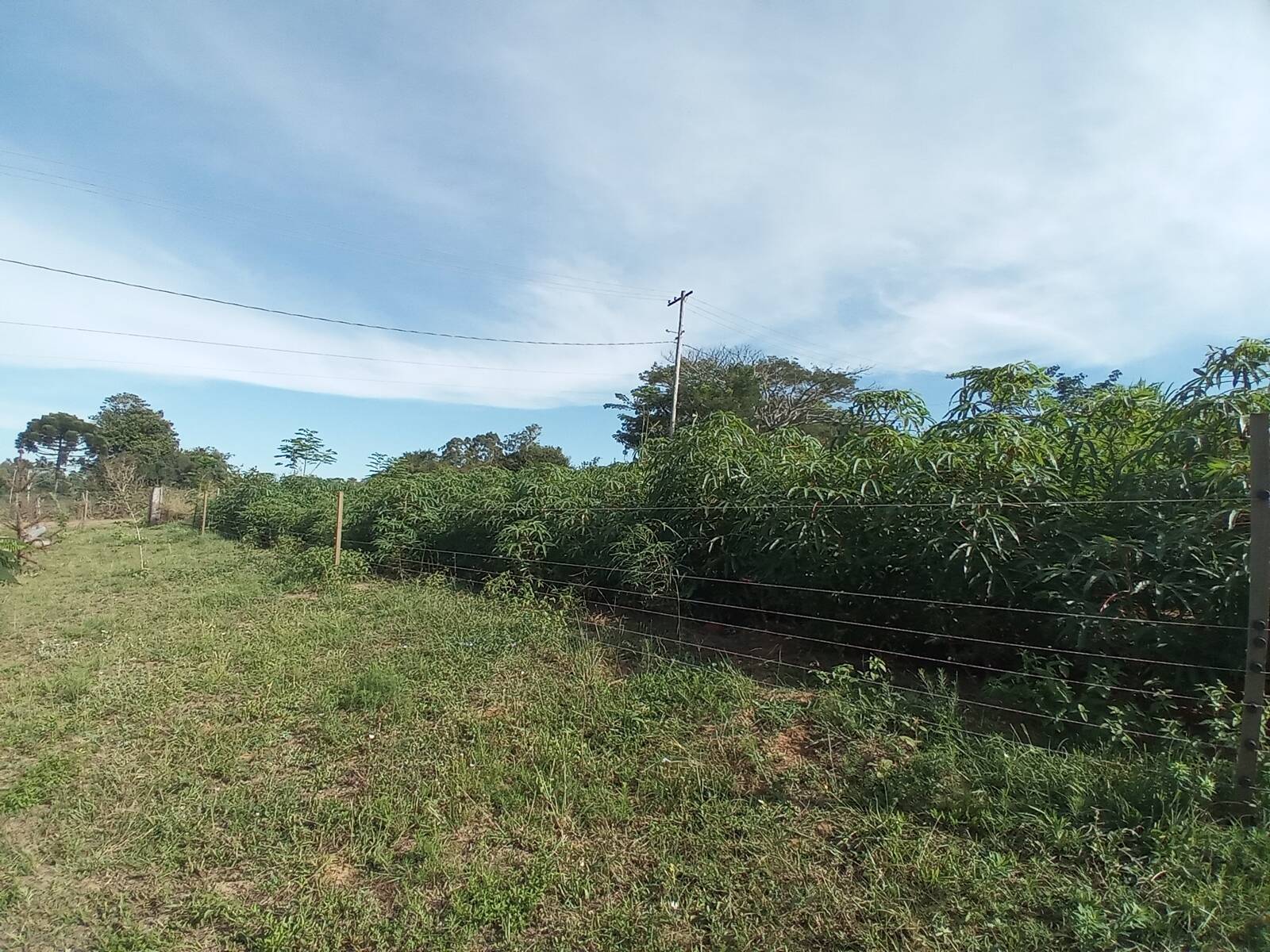 Fazenda à venda com 2 quartos, 170m² - Foto 22