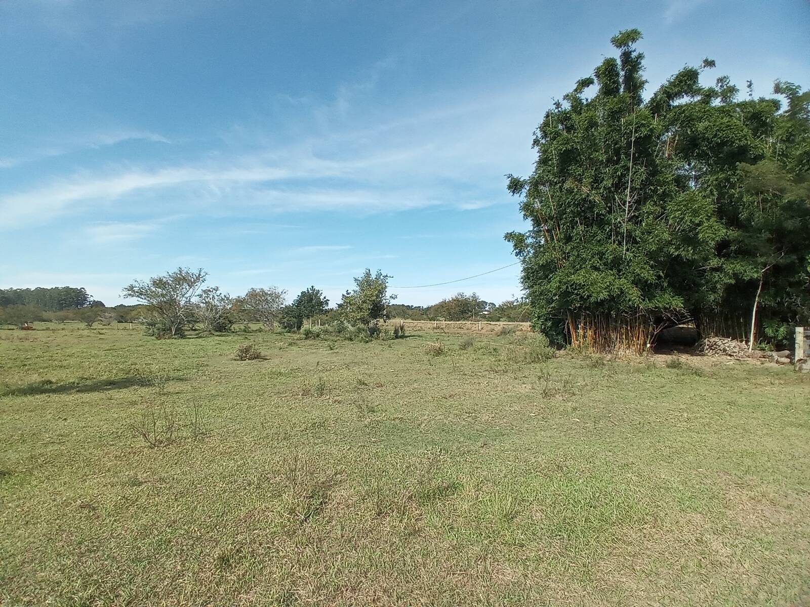 Fazenda à venda com 2 quartos, 170m² - Foto 24