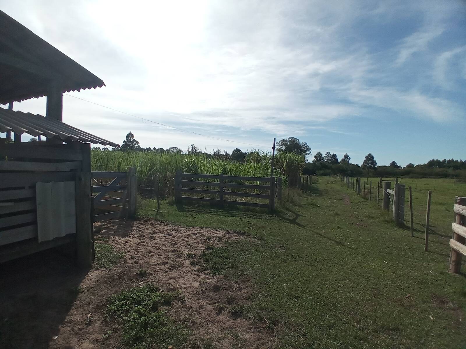 Fazenda à venda com 2 quartos, 170m² - Foto 25