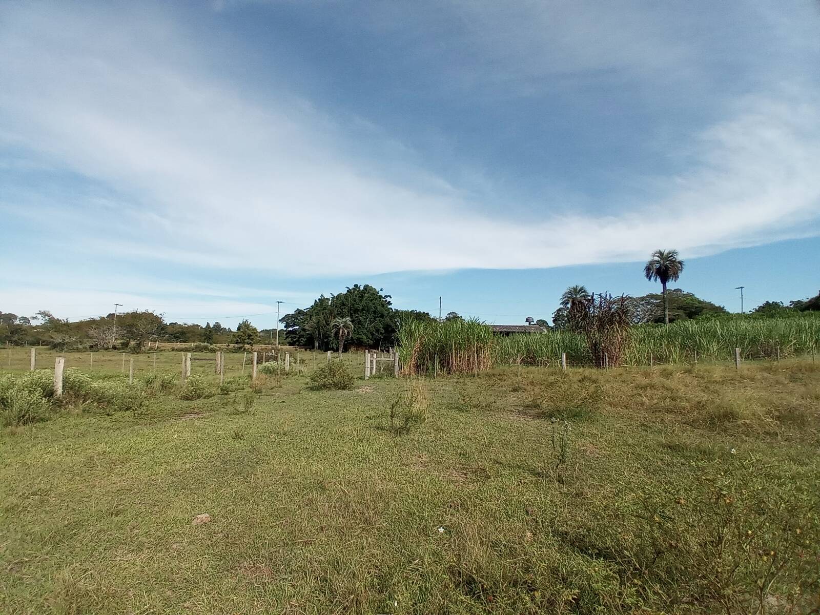 Fazenda à venda com 2 quartos, 170m² - Foto 27