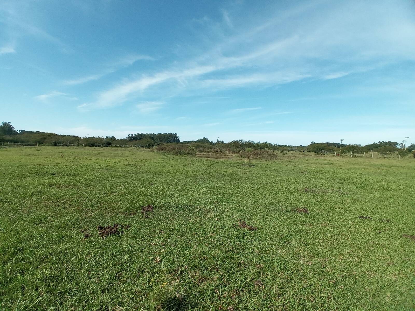 Fazenda à venda com 2 quartos, 170m² - Foto 2