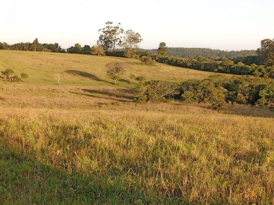 Terreno à venda, 47000m² - Foto 11