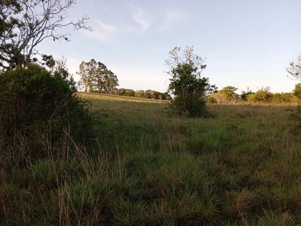 Terreno à venda, 47000m² - Foto 13