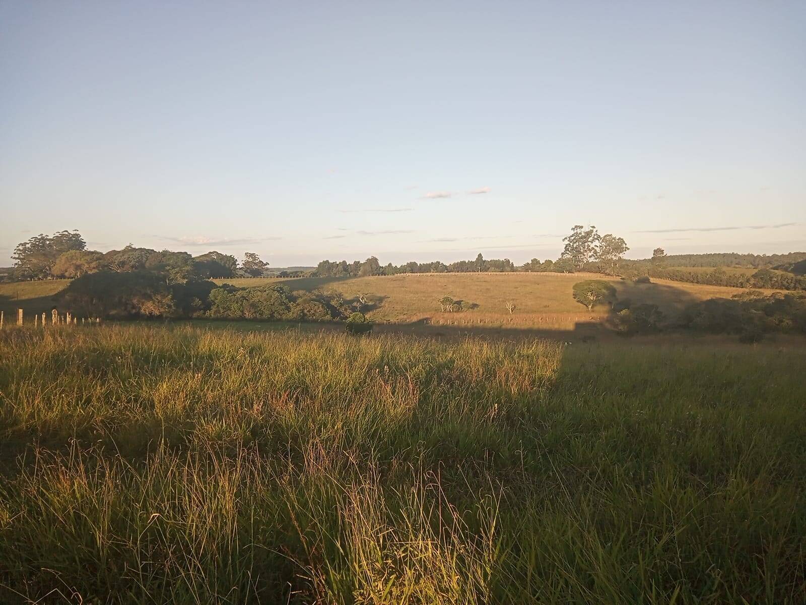 Terreno à venda, 47000m² - Foto 4