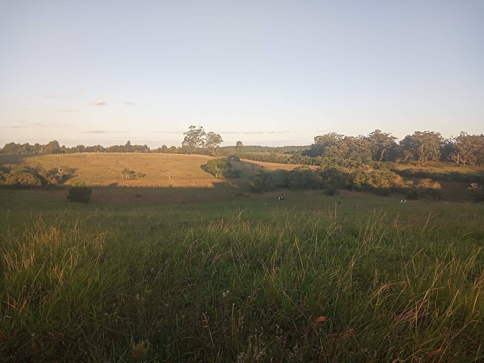 Terreno à venda, 47000m² - Foto 1