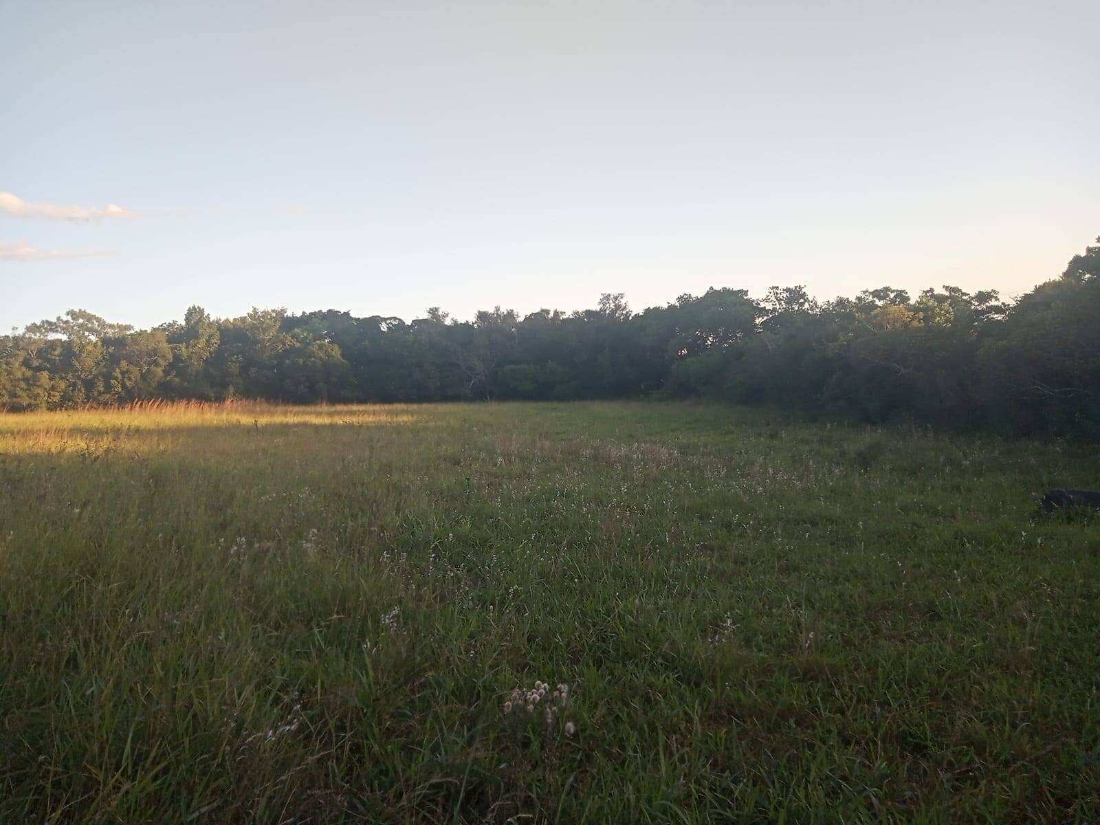 Terreno à venda, 47000m² - Foto 5