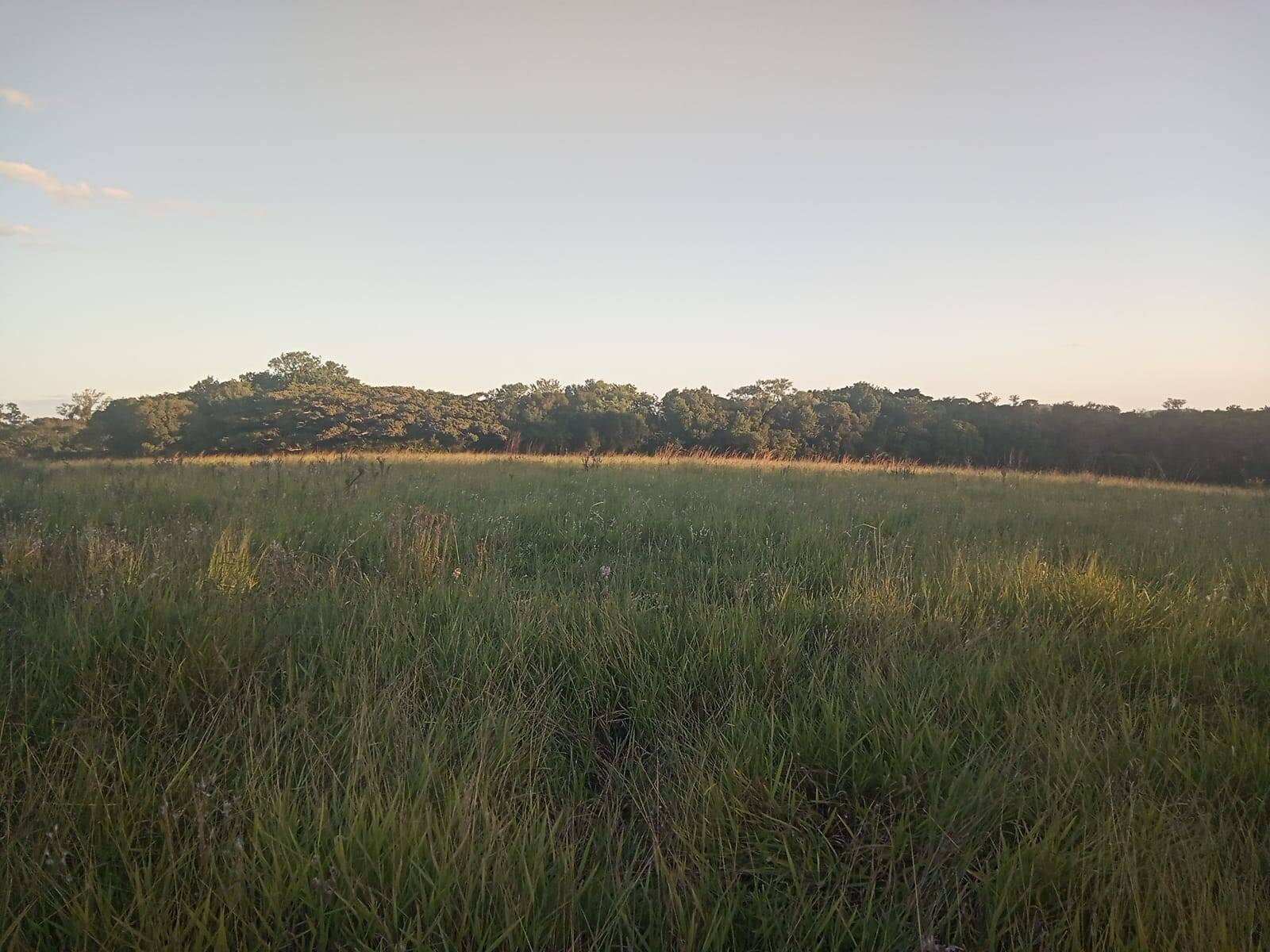 Terreno à venda, 47000m² - Foto 7